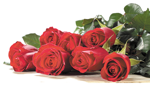 Mesaj de felicitare cu prilejul Zilei Contabilului