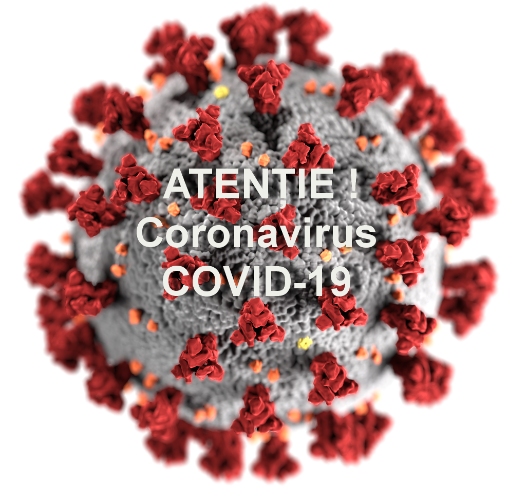 Din 11 martie 2020 OMS a declarat, că focarul de coronavirus este o pandemie