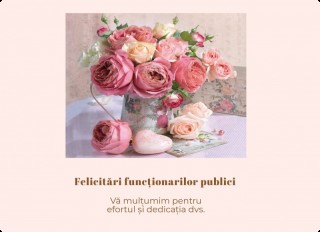 Mesaj de felicitare al Președintelui raionului cu ocazia zilei profesionale “Ziua funcţionarului public” (23 iunie)