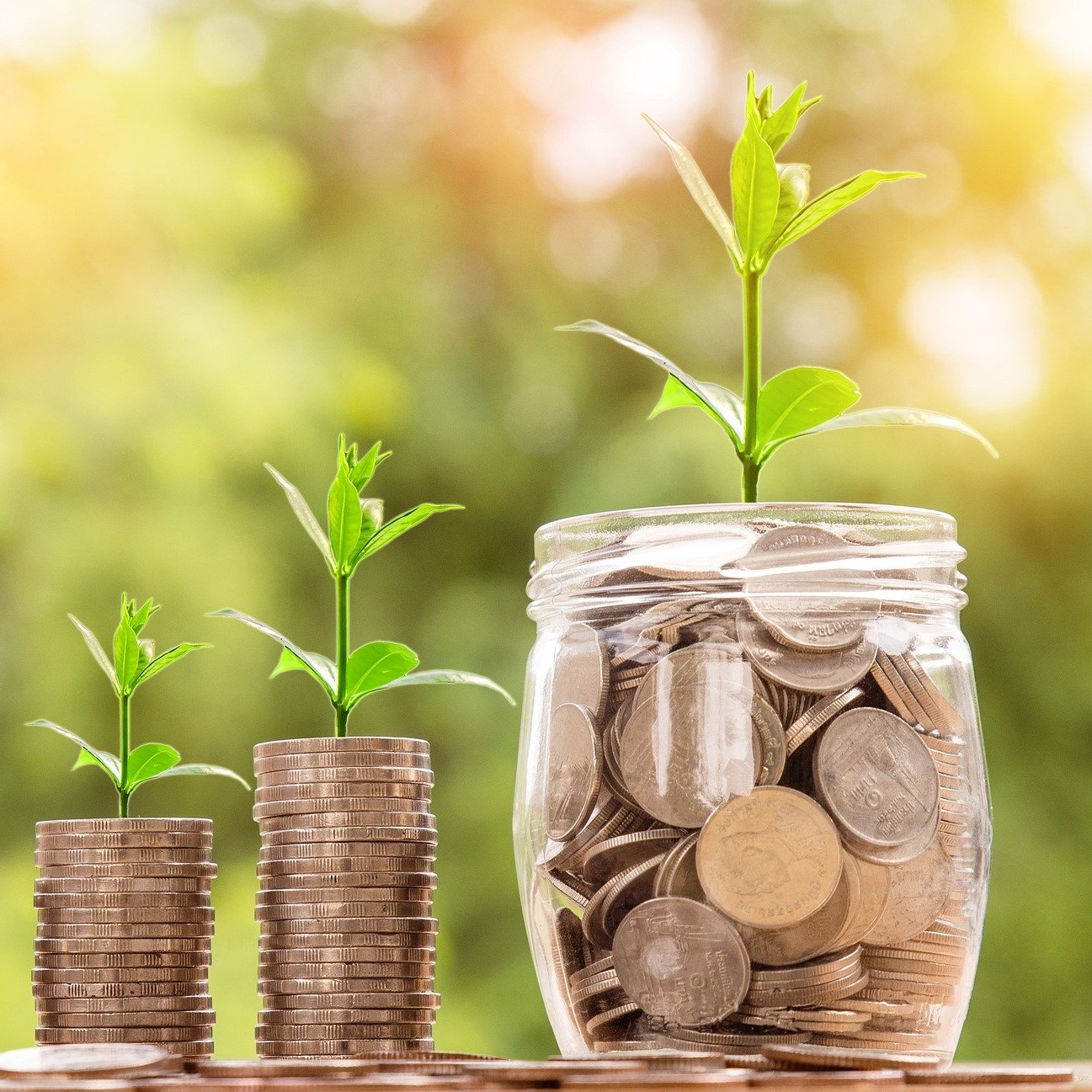 ÎN ATENȚIA ANTREPRENORILOR