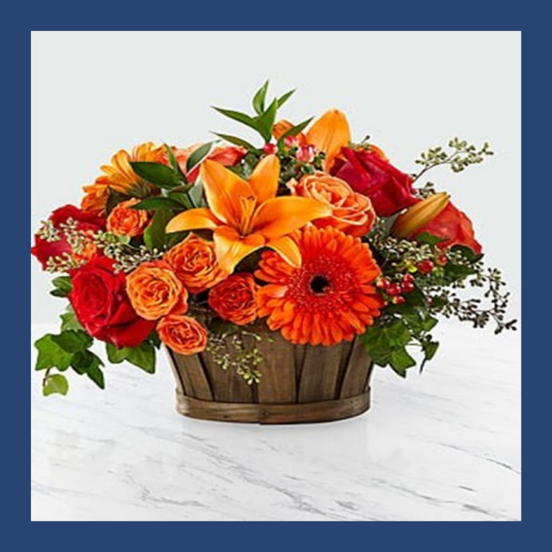 Mesaj de felicitare adresat primarului comunei Frasin, dl. Anatolie BOJENCO cu ocazia Zilei de naştere