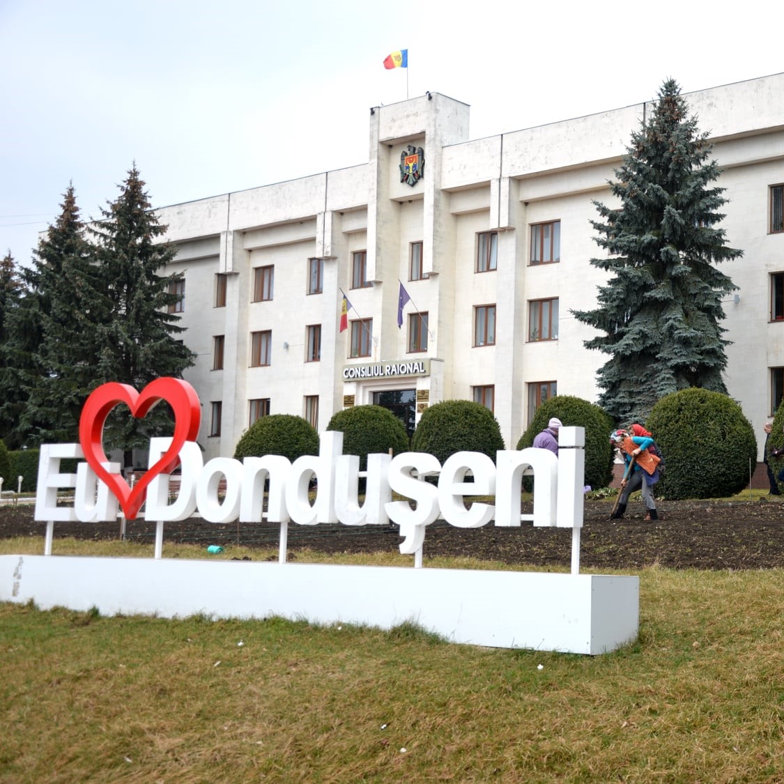 Pe teritoriul edificiului Consiliului Raional, au fost sădite tufe de levănțică