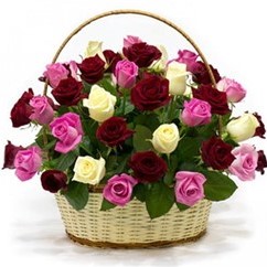 Mesaj de felicitare pentru dl. Iurie Șaragov, șef Secție Agricultură (24 aprilie) și dna Aurica Sitnic jurist din cadrul apartului președintelui raionului (28 aprilie)!