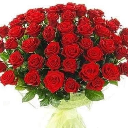 Mesaj de felicitare pentru Dna Natalia BANARI, consilier în Consiliul Raional Dondușeni. (23 aprilie)