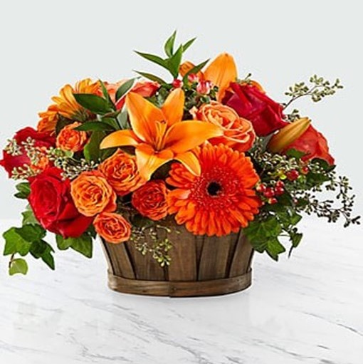 Mesaj de felicitare pentru dl. Lucian RACU, primar s.Scăieni.