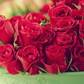 Mesaj de felicitare al președintelui raionului cu ocazia ,,Ultimului sunet,,