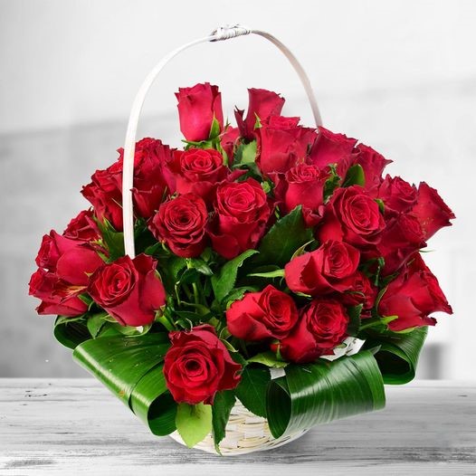 Mesaj de felicitare pentru Dna Galina MALIUTA, consilier în  Consiliul Raional Dondușeni.( 28 iunie)