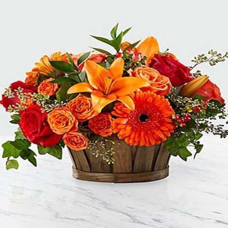 Mesaj de felicitare 5 iunie – Ziua lucrătorului din domeniul protecției mediului