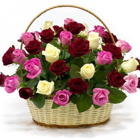 Mesaj de felicitare – Ziua Financiarului (15 august)