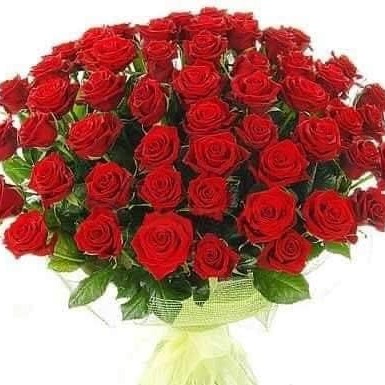 Mesaj de felicitare pentru dl. Anastas Rotaru, consilier în Consiliul raional Dondușeni (08 septembrie)