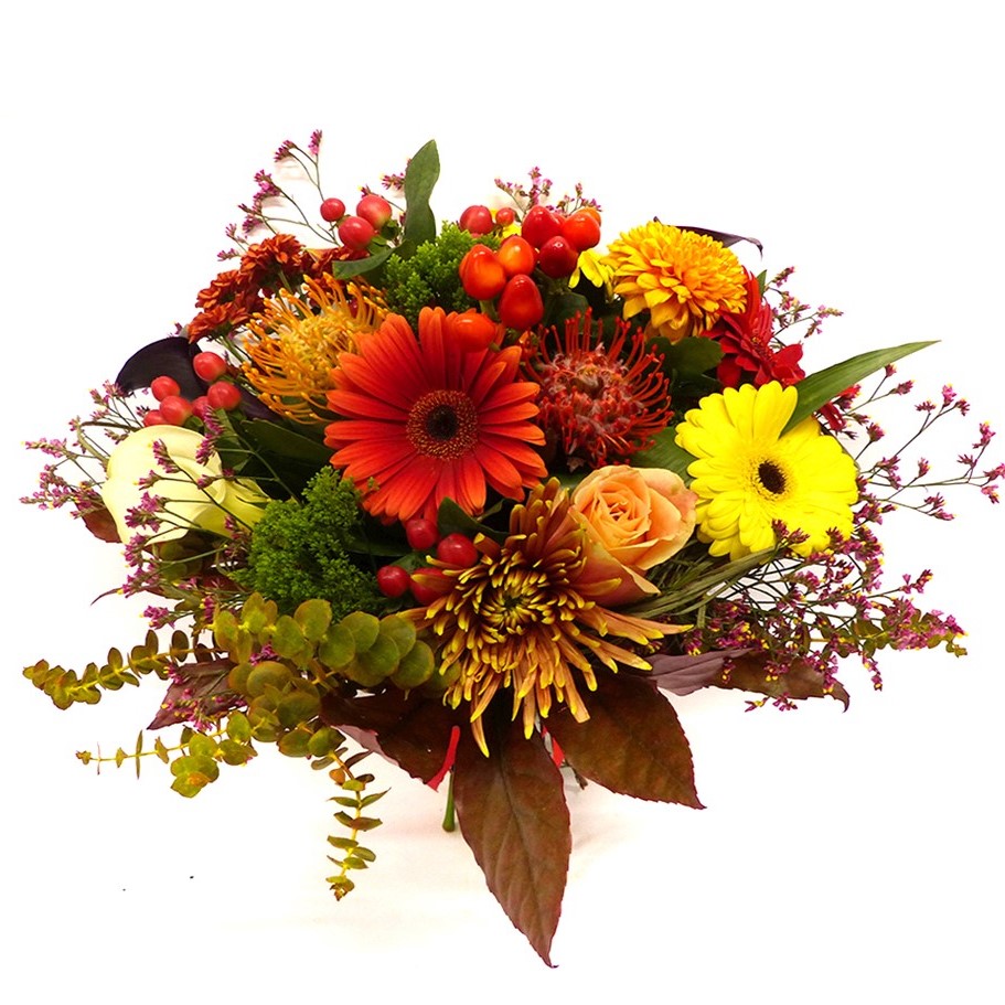 Mesaj de felicitare pentru dl. LUCA Ghenadie, specialist principal din cadrul Aparatului președintelui raionului! (12 octombrie)