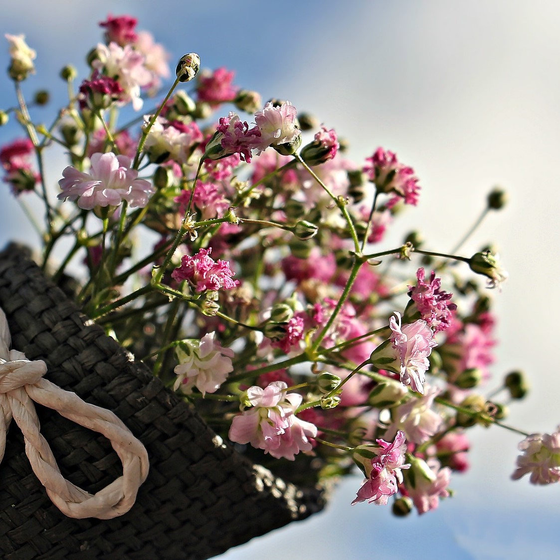 Mesaj de felicitare pentru domnișoara Bernaz Cătălina, specialist superior din cadrul Secției Financiar contabilă și Achiziții publice (17 noiembrie)