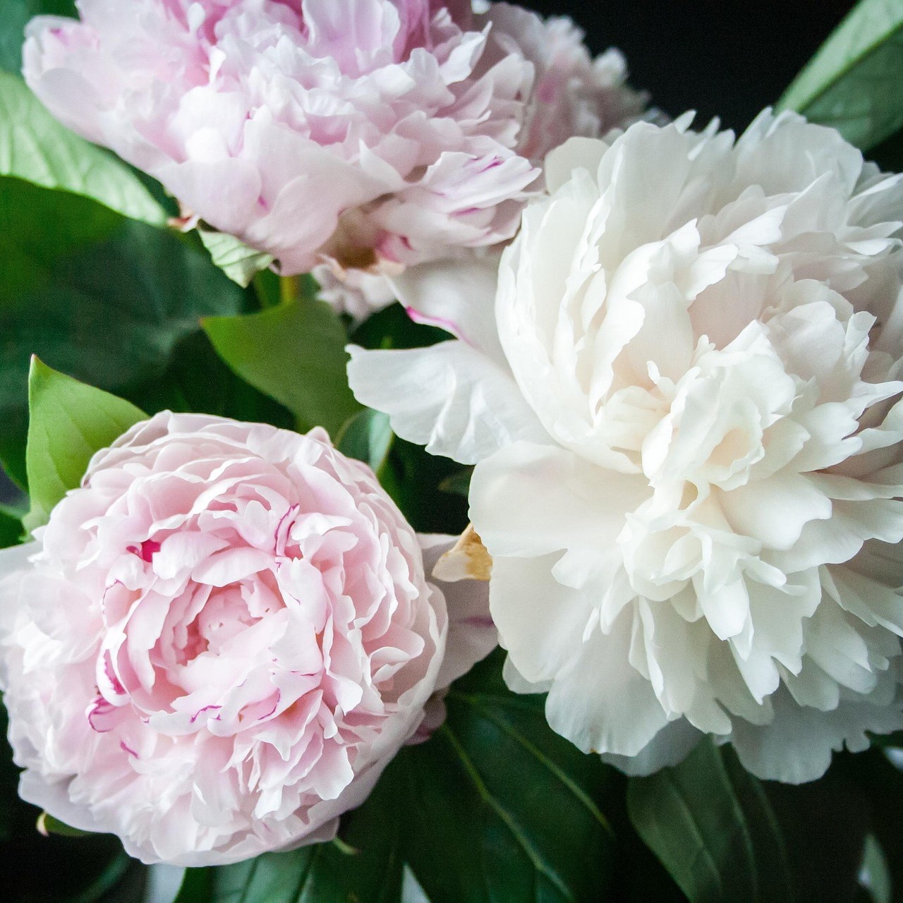 Mesaj de felicitare pentru CAZACIUC Mihai, specialist principal