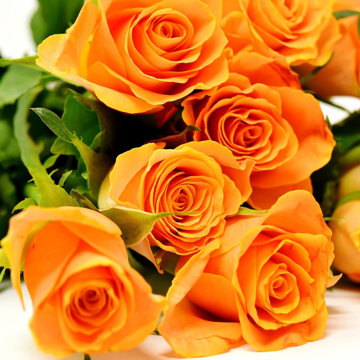 Mesaj de felicitare pentru dl. Leonid COTORCEA, primar de Baraboi (25 ianuarie 2023)