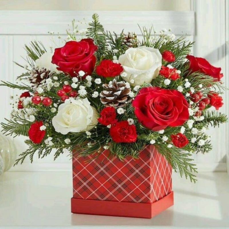 Mesaj de felicitare, cu prilejul Zilei de naștere, pentru dna Natalia PANEVSCHI, consilier în Consiliul Raional Dondușeni