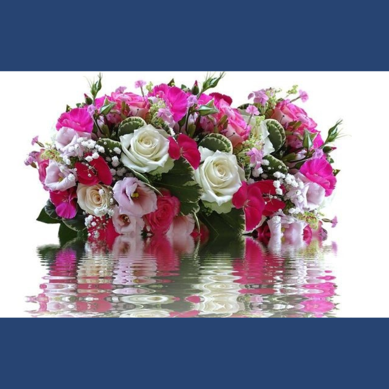 Mesaj de felicitare, cu ocazia Zilei de naștere pentru dl. Alexandru DUDUN, consilier în Consiliul Raional Dondușeni. 01.02.2022