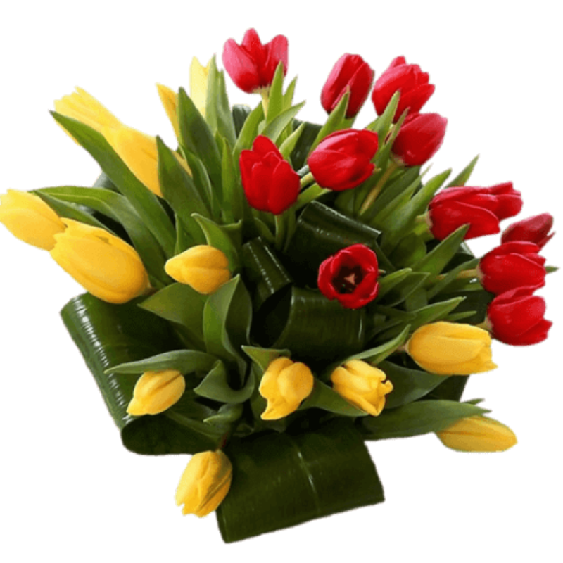Mesaj de felicitare pentru dl. Iurie Șaragov, șef Secție Agricultură (24 aprilie)
