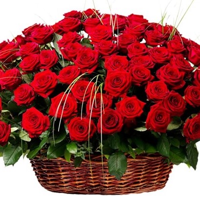Mesaj de felicitare, cu prilejul Zilei de naștere, pentru Dna Olga DUDUN, consilier, Consiliul Raional Dondușeni