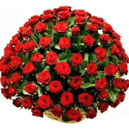 Mesaj de felicitare, cu prilejul Zilei de naștere, pentru Dna Tamara SADOVICI, consilier în Consiliul Raional Dondușeni; pentru Dna Victoria MITITIUC, consilier, în Consiliul Raional Dondușeni