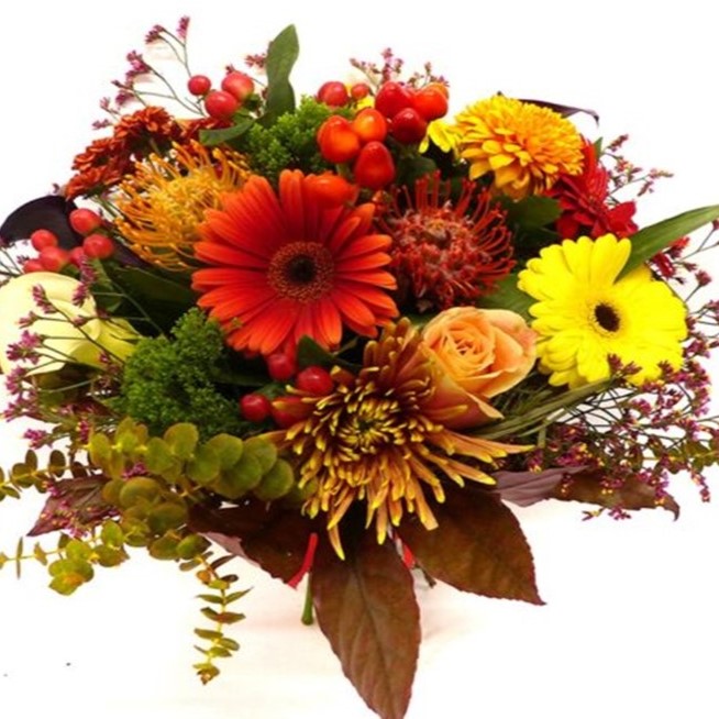 Mesaj de felicitare pentru dl. LUCA Ghenadie, specialist principal din cadrul Aparatului președintelui raionului! (12 octombrie)