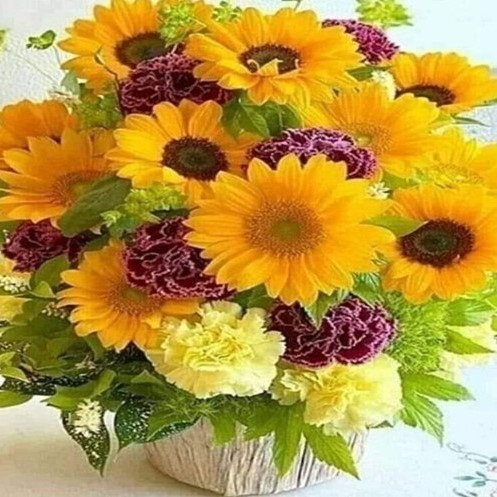 Mesaj de felicitare, cu ocazia zilei de naștere, pentru doamna Mariana CHIRIAC, primar de Climăuți (16 octombrie)