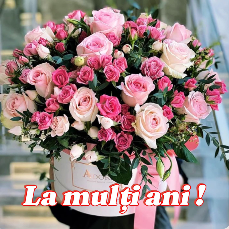 Mesaj de felicitare, cu prilejul Zilei de naștere, pentru Dna Cernei Nina, Șef al Serviciului Arhivă Dondușeni.