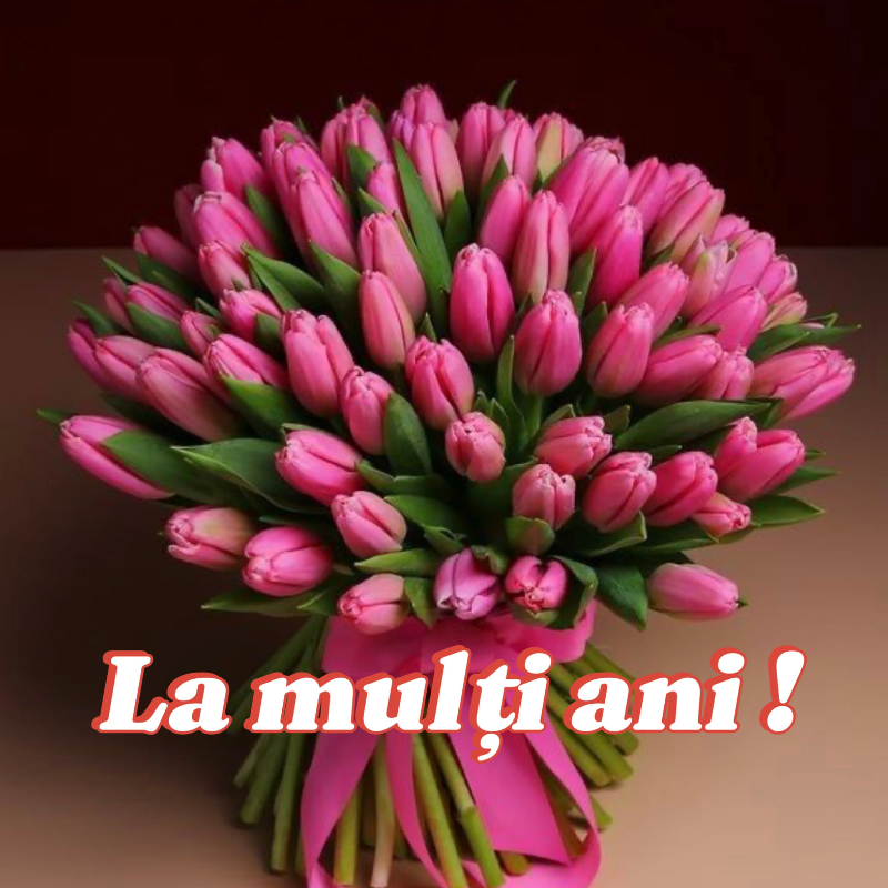 Mesaj de felicitare, cu prilejul Zilei de naștere, pentru Doamna Semeniuc Alina,  primar S.Crișcăuți