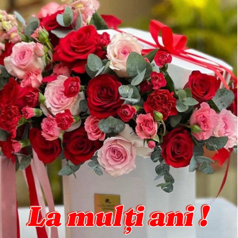 Mesaj de felicitare, cu prilejul Zilei de naștere, pentru Dna  Plămădeală Ana ,specialist principal al  Secției financiar-contabile din cadrul Aparatului  Președintelui raionului Dondușeni!