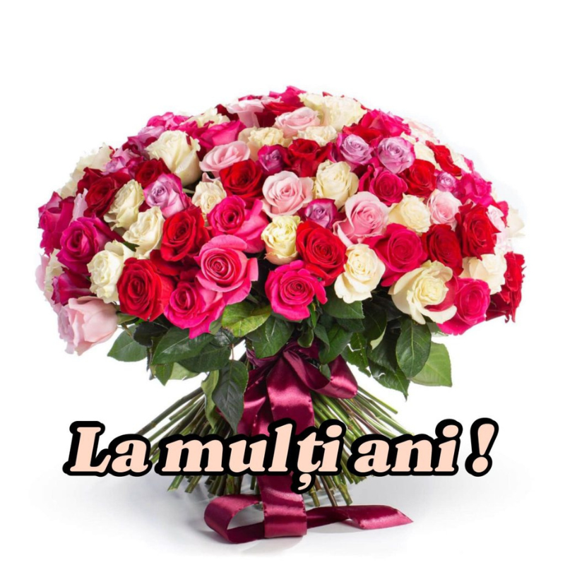Mesaj de felicitare cu prilejul zilei de naștere pentru Doamna Sadovici Tamara ,consilier Consiliul Raional Donduseni