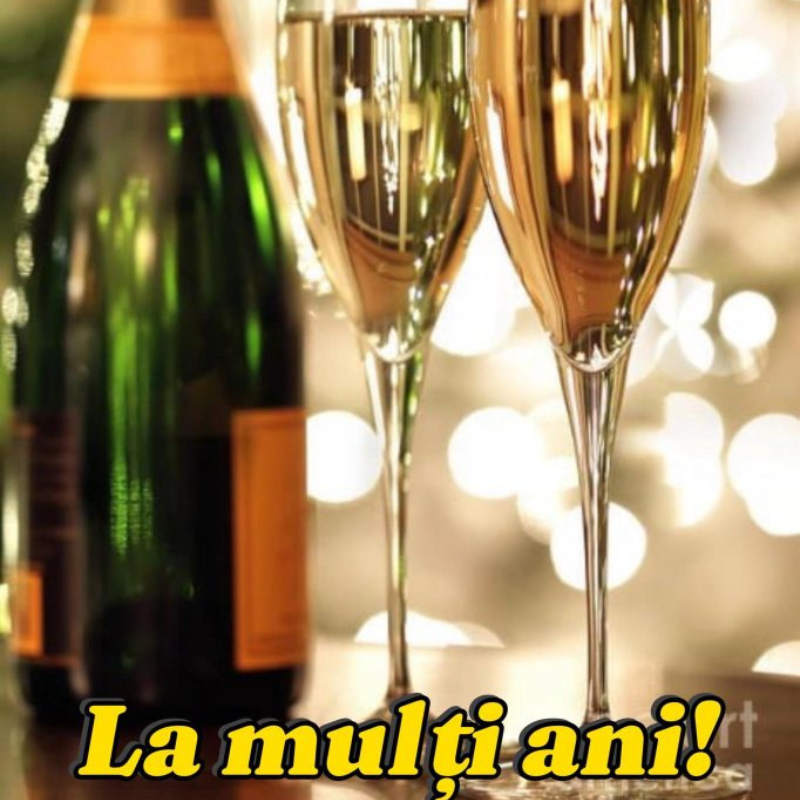 Mesaj de felicitare cu ocazia zilei de naștere pentru Domnul Navroțchii Alexandr,consilier Consiliul Raional Donduseni