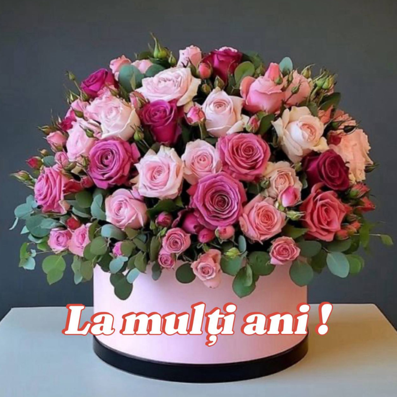 Mesaj de felicitare cu prilejul zilei de naștere pentru doamna Tatiana Moldovan, consilier Consiliul Raional Dondușeni