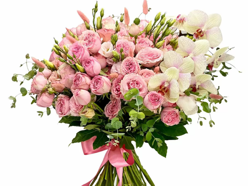 Mesaj de felicitare cu prilejul zilei de naștere pentru dna Stratu Corina, consilier Consiliul raional Dondușeni